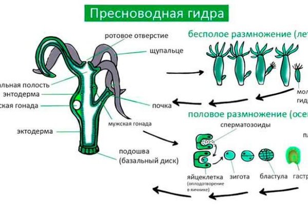 Ссылка на кракен в тор браузере