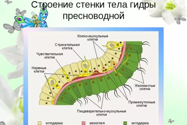 Вывести деньги с кракена