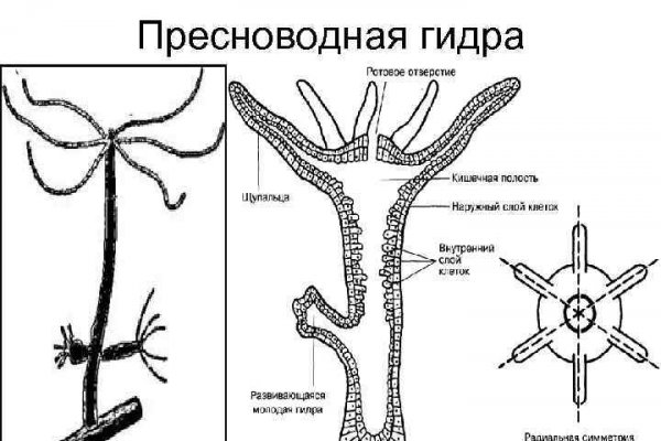 Tor browser даркнет