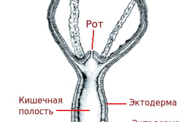 Кракен онион