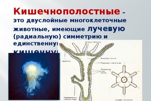 Кракен даркнет 2krnk biz